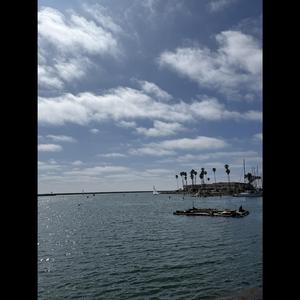 New (feat. Crimzon & ninja stinky)