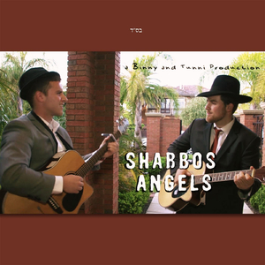 Shabbos Angels