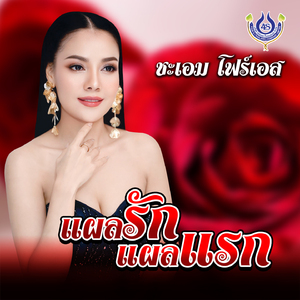 แผลรักแผลแรก