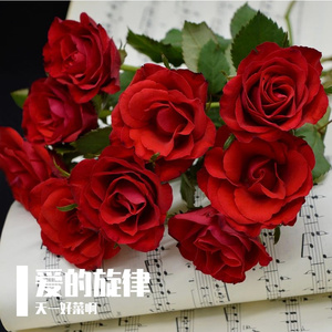 玫瑰与誓言