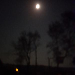 into the night (sped up)