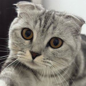 握紧的手