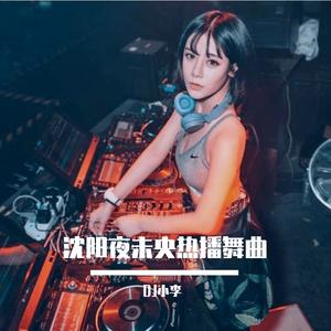 夜未央 娜娜摇（DJ小李 remix）
