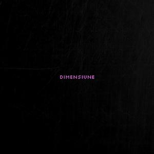 Dimensiunea