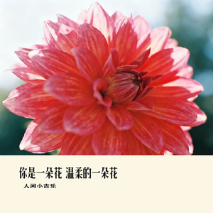 你是一朵花 温柔的一朵花