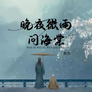 晚夜微雨问海棠 (DJ)
