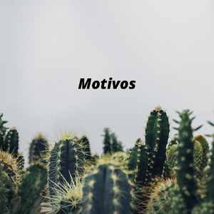 Motivos