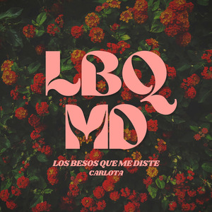 LBQMD (Los Besos Que Me Diste)