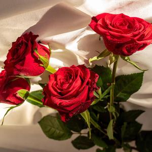 Every Moment Beside You (Feels Like A Dream) Ver 2