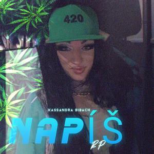 Napíš RP