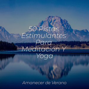 Deriva de Niebla Solitaria