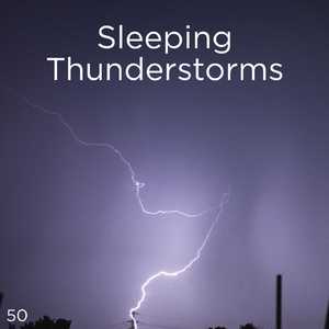 호우 잠