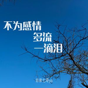 不为感情多流一滴泪