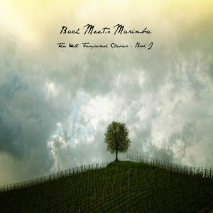 The Well Tempered Clavier Book I No. 18 in G-sharp minor BWV 863: Prelude