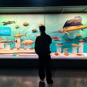 爱留在天津（X&T)最终版