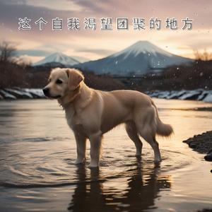 我的心再次陷入悲伤的迷雾