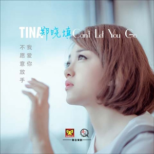 我爱你不愿意放手(DJ版伴奏)