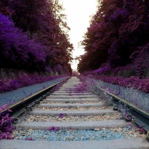 【Free】Grizzle （Trap Beat）