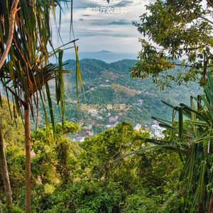 适合办公事务爵士