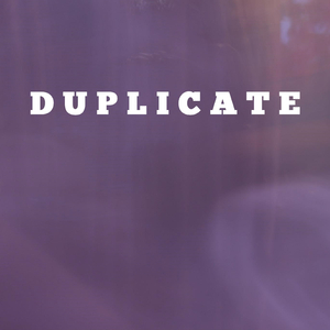Duplicate
