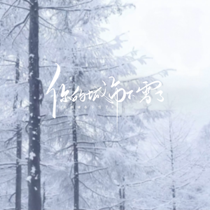 你的城市下雪了