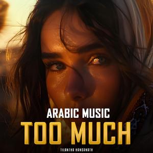 Too Much (Instrumental)