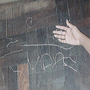 VIDA