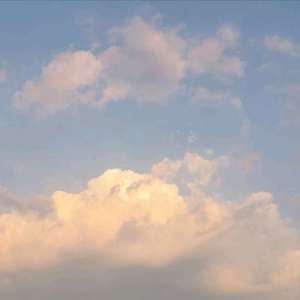 樱花草(沙哑的说）（翻自 Sweety）