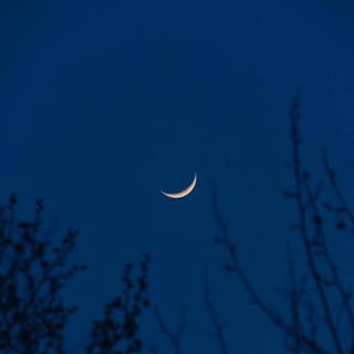 地球之音：聆听自然的呼吸