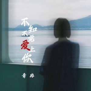 不知不觉爱上你