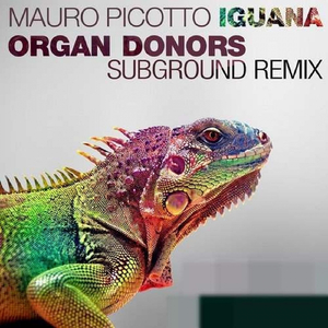 Iguana (Organ Donors Subground Remix Edit)