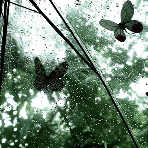 我的影子很懂事