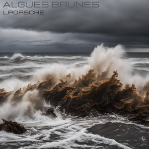 Algues brunes