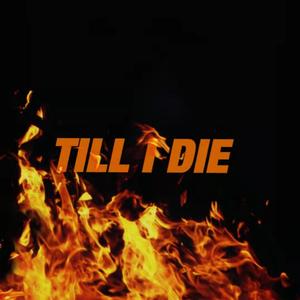Till I Die（pt.1）
