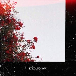 Tied to You