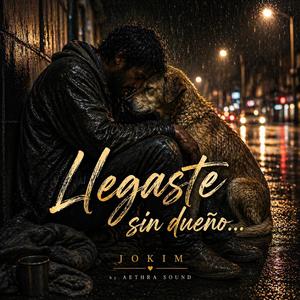 LLegaste sin dueño ...