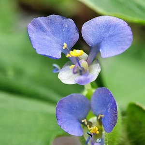 希望你能开心AI2