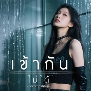 เข้ากันไม่ได้