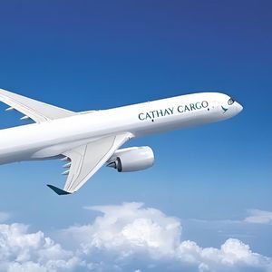 逃离喧嚣的夏日