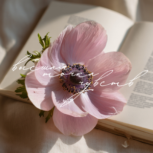 Высшая точка чувств (Акустическая версия)