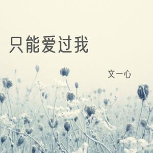 我的眼泪你的战利品