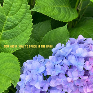 You Know (How To Dance In The Rain)