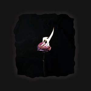 偏安一隅 prod MEGA