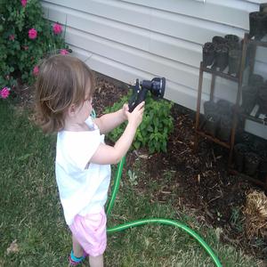 No One Can Tell Me (I Told You So)