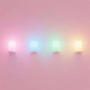 花霞(はなかすみ) / entryB