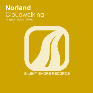 Cloudwalking (Solex Remix)