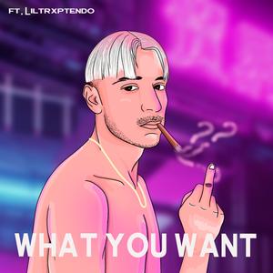 What You Want (feat. Liltrxptendo)