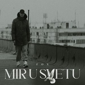 Mir u svetu