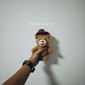 WHERE DID YOU GO PDP