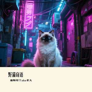野猫窃语